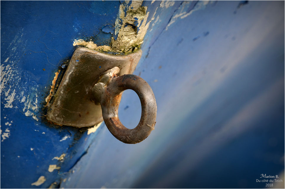 BLOG-DSC_45426-anneau amarrage coque bleue