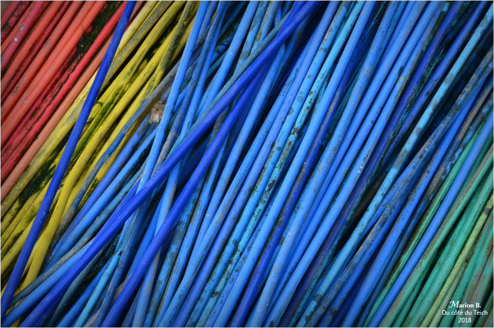 BLOG-DSC_45442-aiguilles couleurs