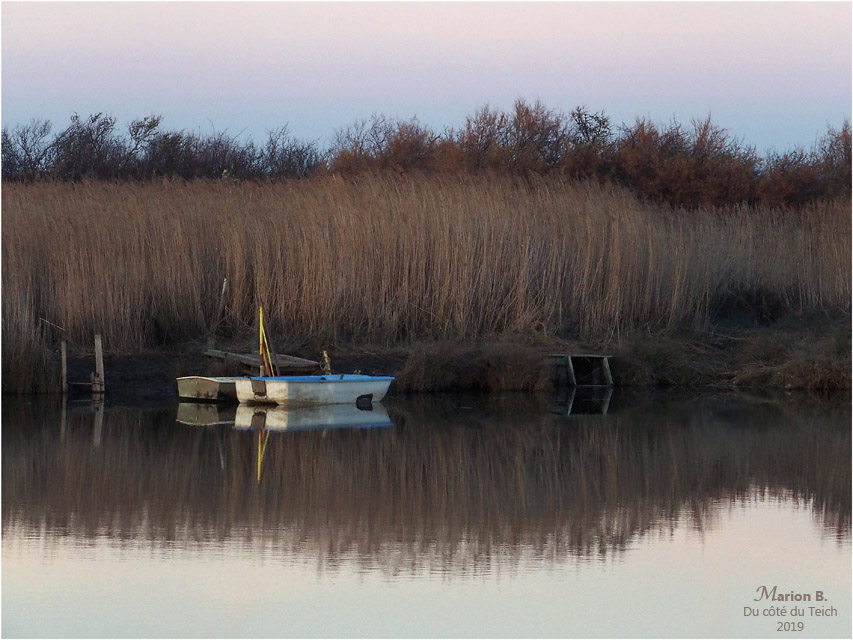 blog-p1050335-crépuscule bord de leyre