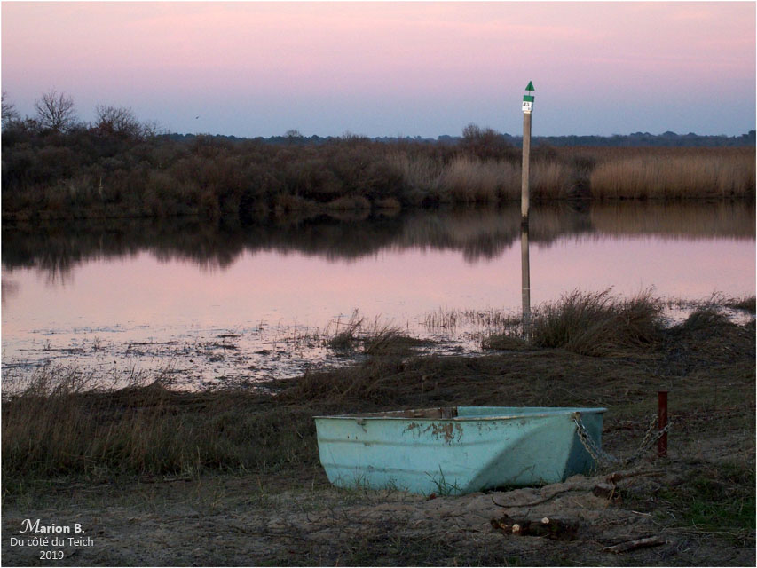 blog-p1050337-crépuscule bord de leyre