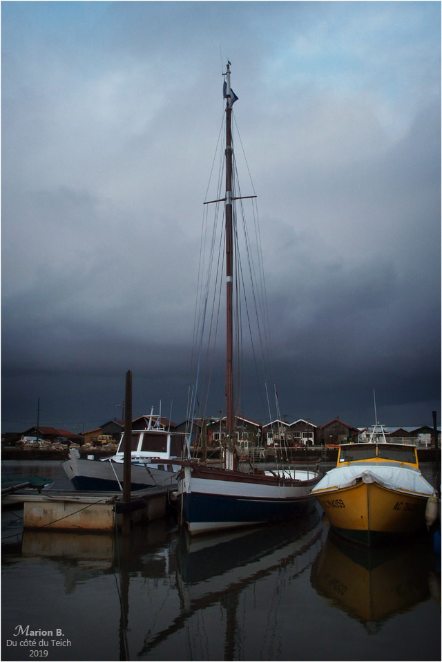 blog-p1220414-argo 2 port larros