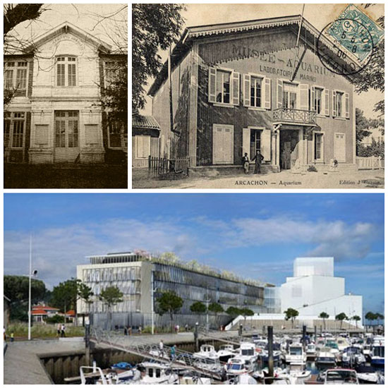 université, musée aquarium et projet poa