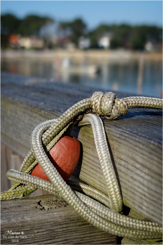 BLOG-P2210622-terrasse Piraillan