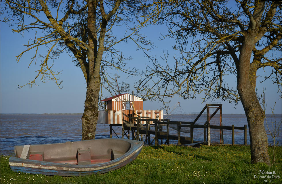 BLOG-DSC_46119-carrelet estuaire Gironde