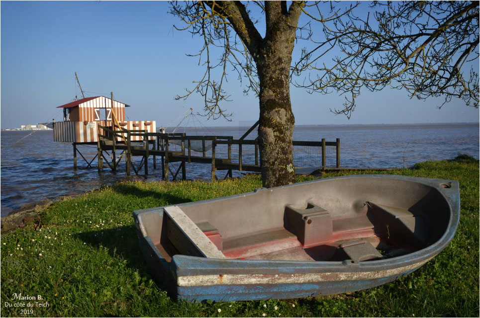 BLOG-DSC_46123-carrelet estuaire Gironde