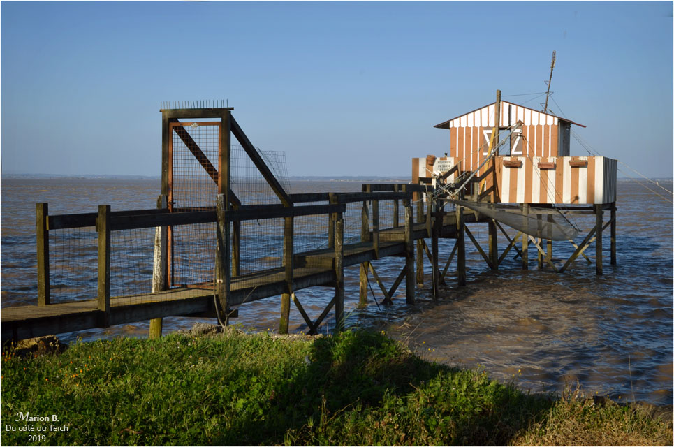 BLOG-DSC_46124-carrelet estuaire BLOG-DSC_46124-carrelet estuaire