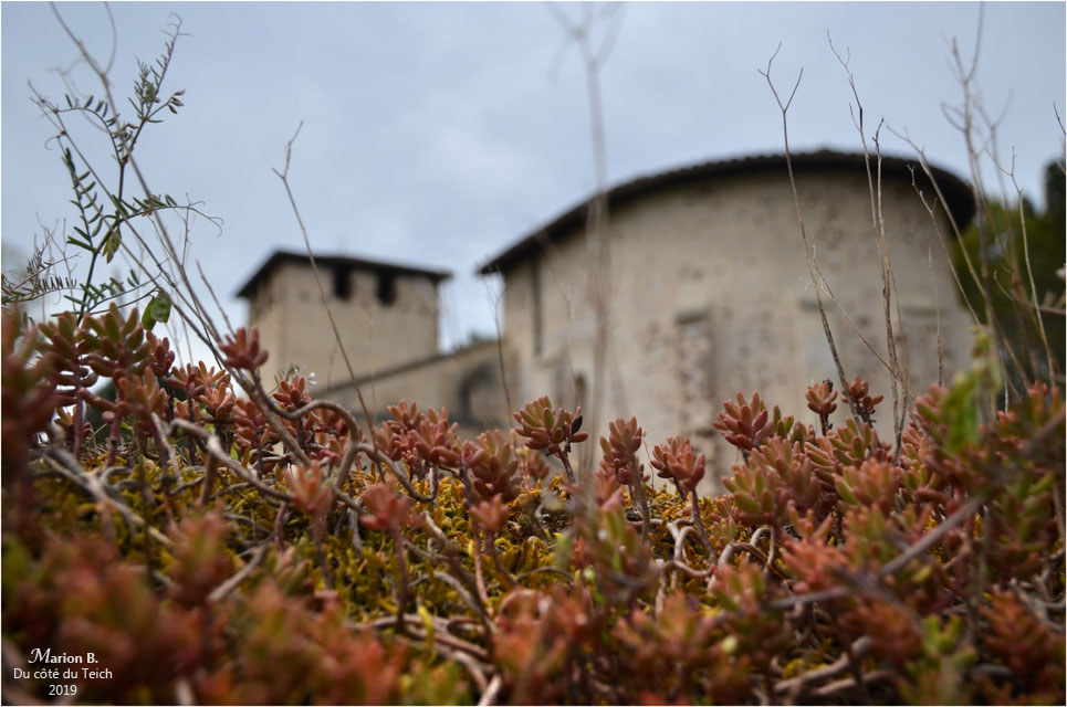 BLOG-DSC_46180-mur cimetière église St Pierre de Mons