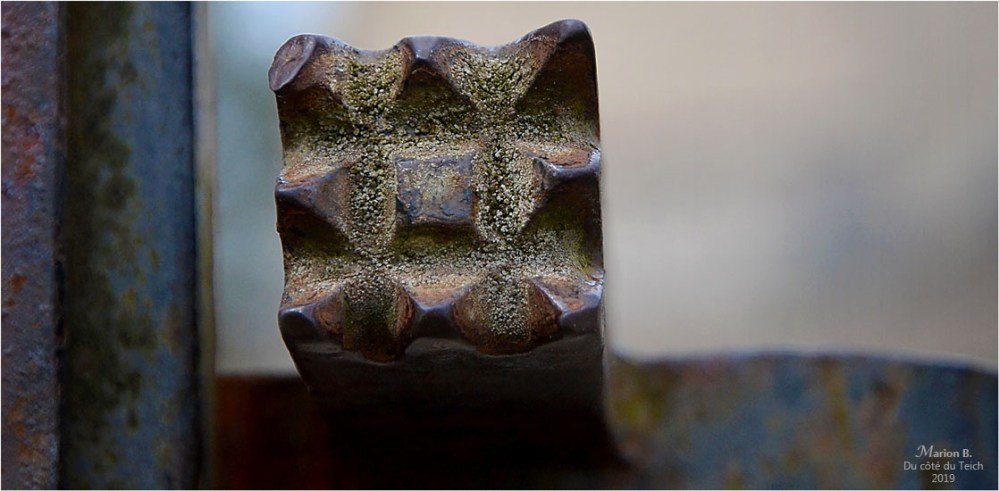 BLOG-DSC_46186-2-portail église St Pierre de Mons 550