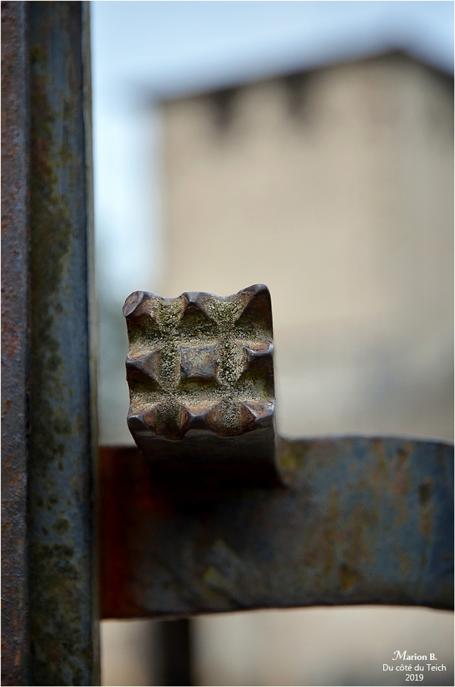 BLOG-DSC_46186-portail église St Pierre de Mons