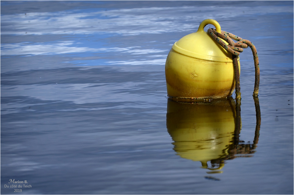 BLOG-DSC_46281-bouée