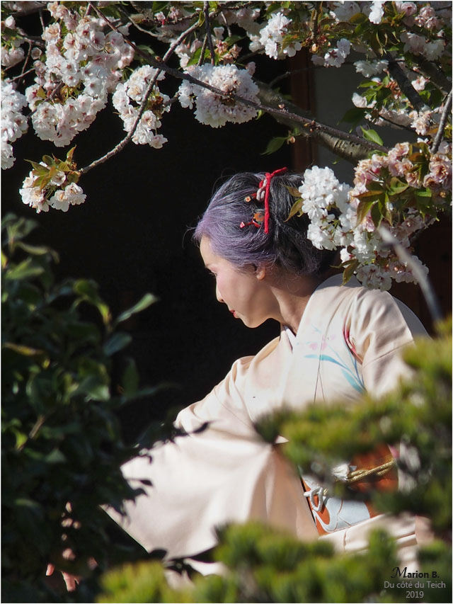 BLOG-P3300993-2-Hanami et Kimono