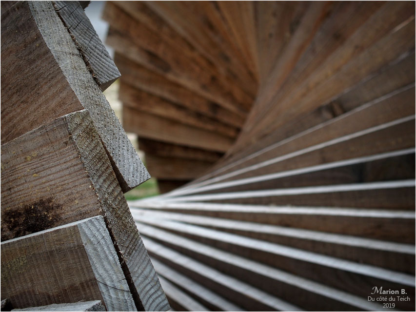 BLOG-P4011114-Spiralauport la Teste