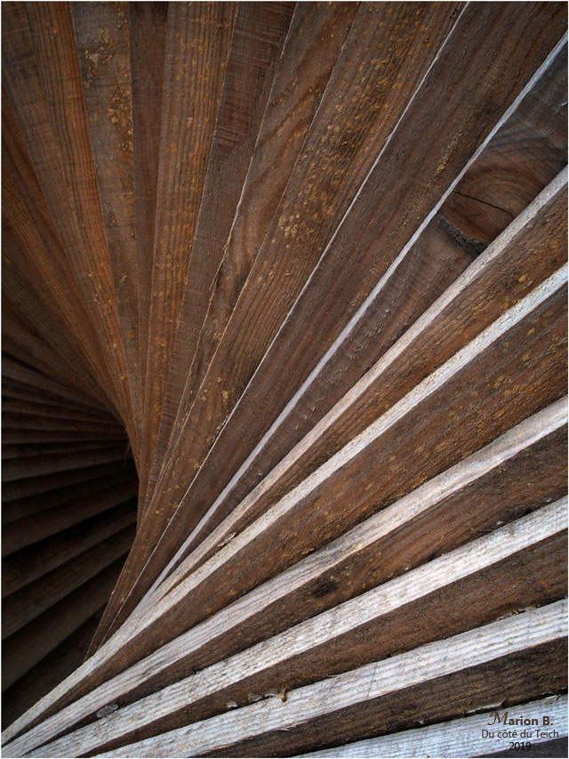 BLOG-P4011117-Spiralauport la Teste