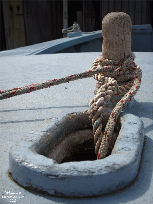 BLOG-P4041141-cordages NC1