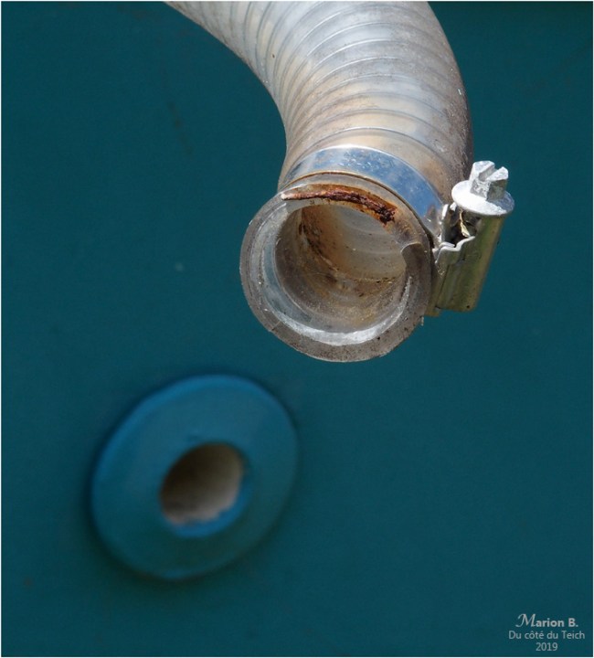 BLOG-P4071200-pinasse Tiburon