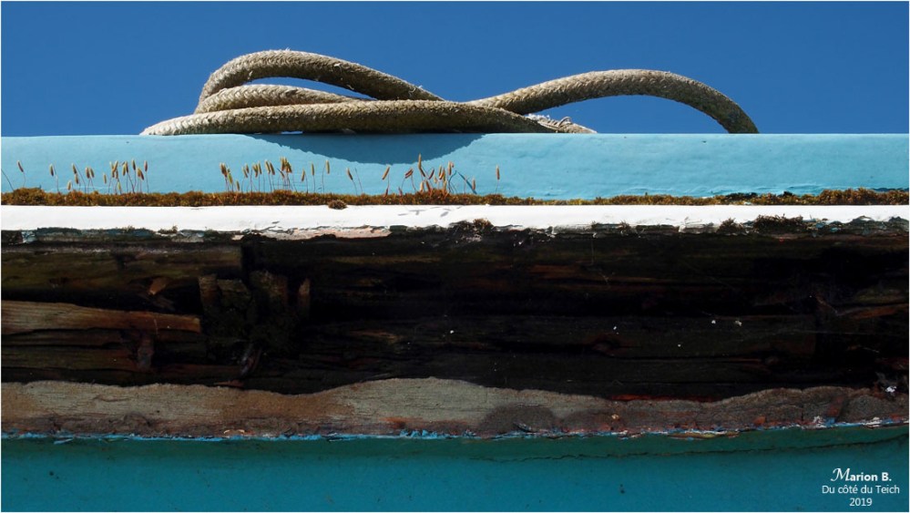 BLOG-P4071201-coque et cordages pinasse Tiburon