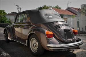 blog-dsc_46518-2-cox-cabriolet-nc.jpg