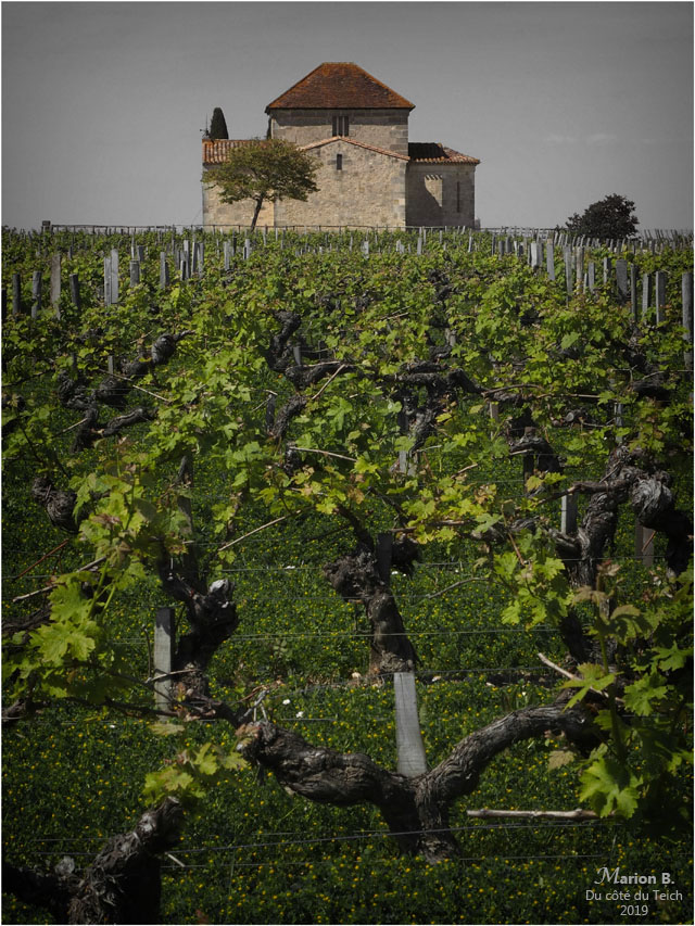 BLOG-P4301409-chapelle Calon Ségur N&C2