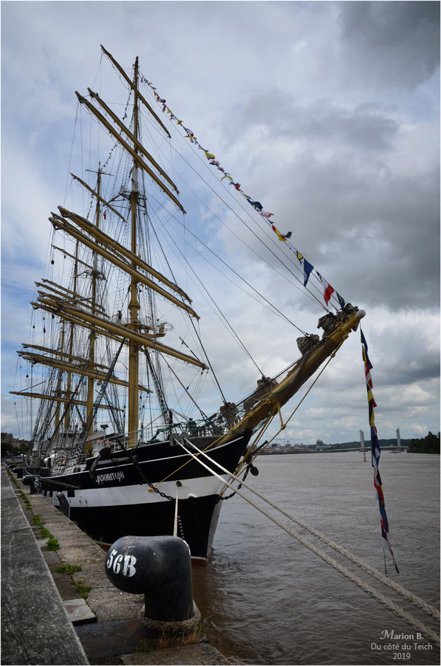 blog-dsc_46810-kruzenshtern-bordeaux-fc3aate-le-fleuve-2019.jpg