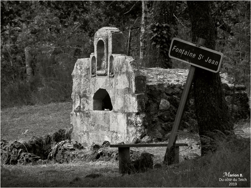 blog-p8081980-2-fontaine-st-jean-lamothe-le-teich-nb.jpg