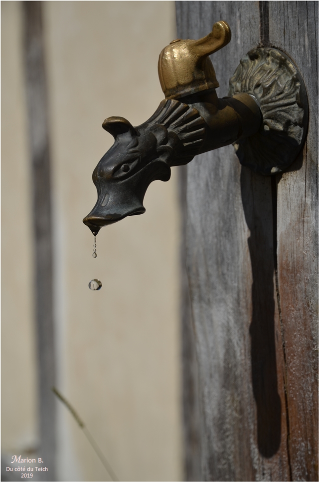 BLOG-DSC_47499-goutte robinet