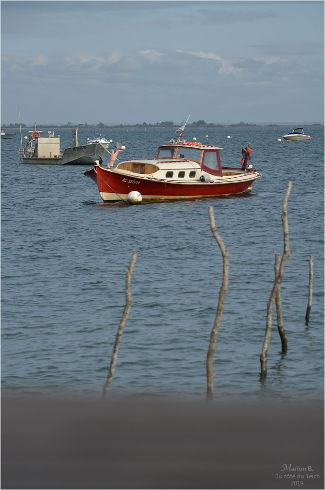 BLOG-DSC_47847-pinasse