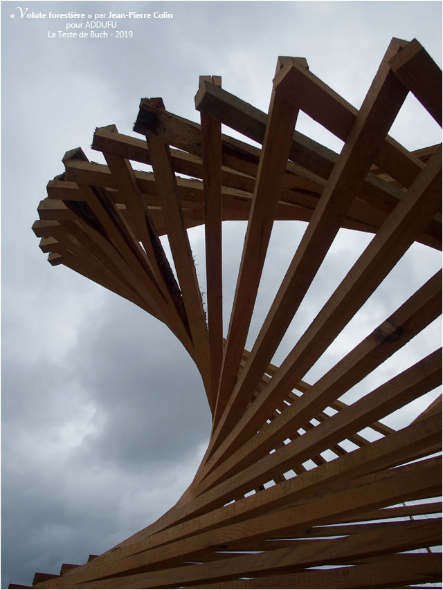 BLOG-PA022700-Volute forestière la Teste