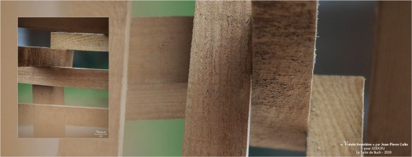 BLOG-PA022703-2-bannière Volute forestière JP Colin la Teste