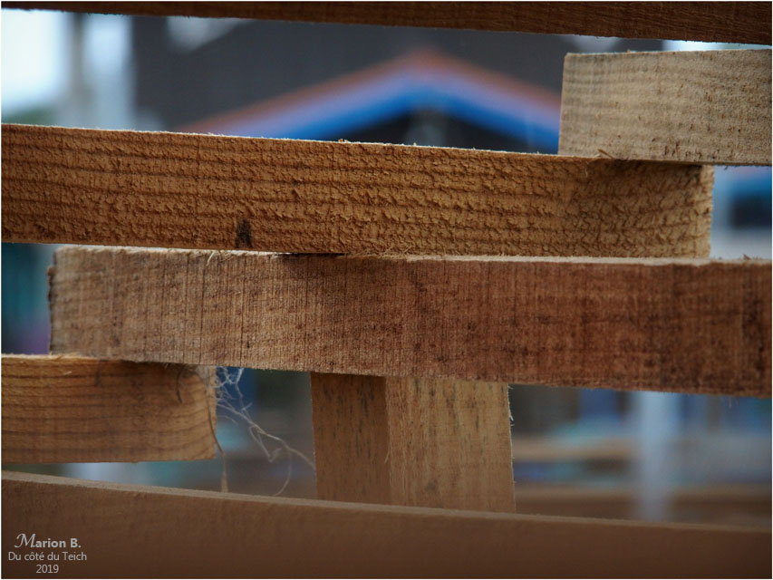 BLOG-PA022710-Volute forestière et cabane la Teste