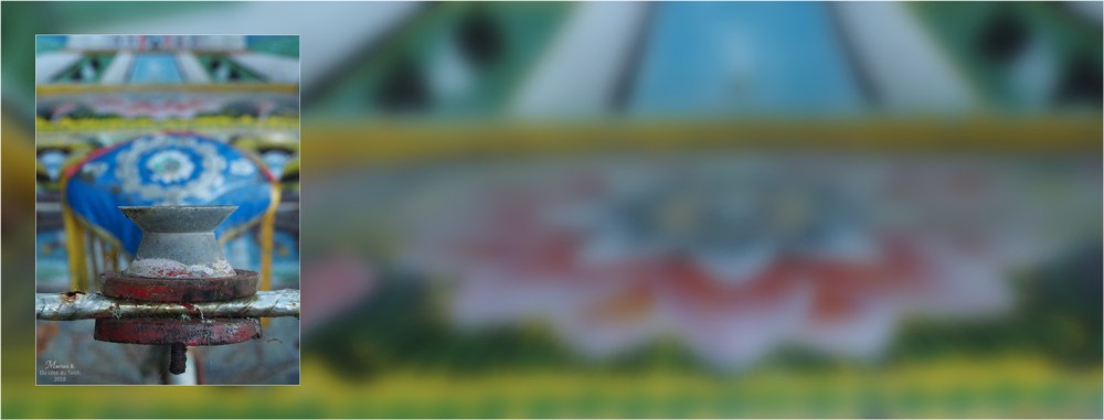 BLOG-PA283231-244-bannière exotisme