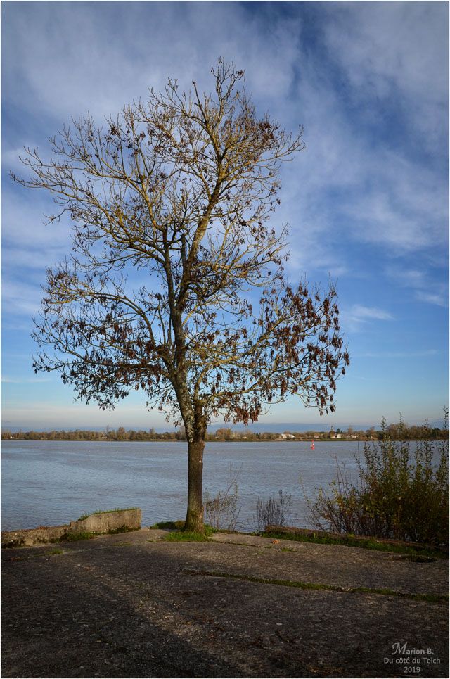 BLOG-DSC_48086-port de Lagrange Parempuyre
