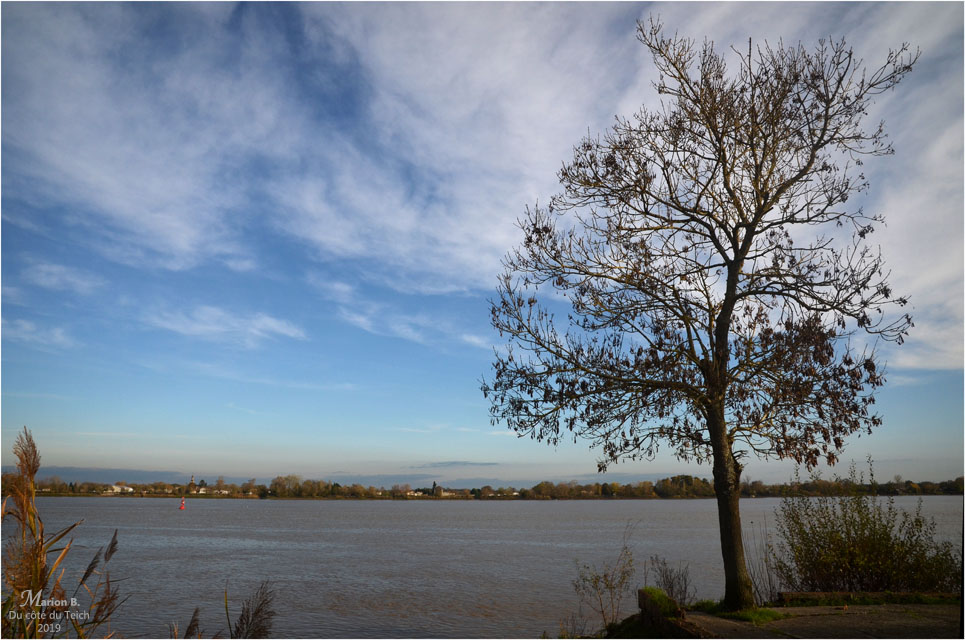 BLOG-DSC_48090-port de Lagrange Parempuyre