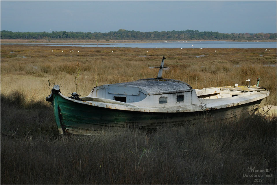 BLOG-PA283202-Comprian Jane de Boy