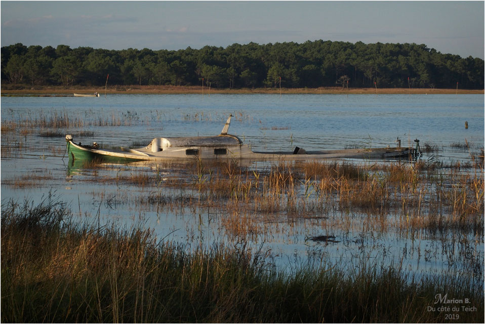 BLOG-PA283303-Comprian Jane de Boy