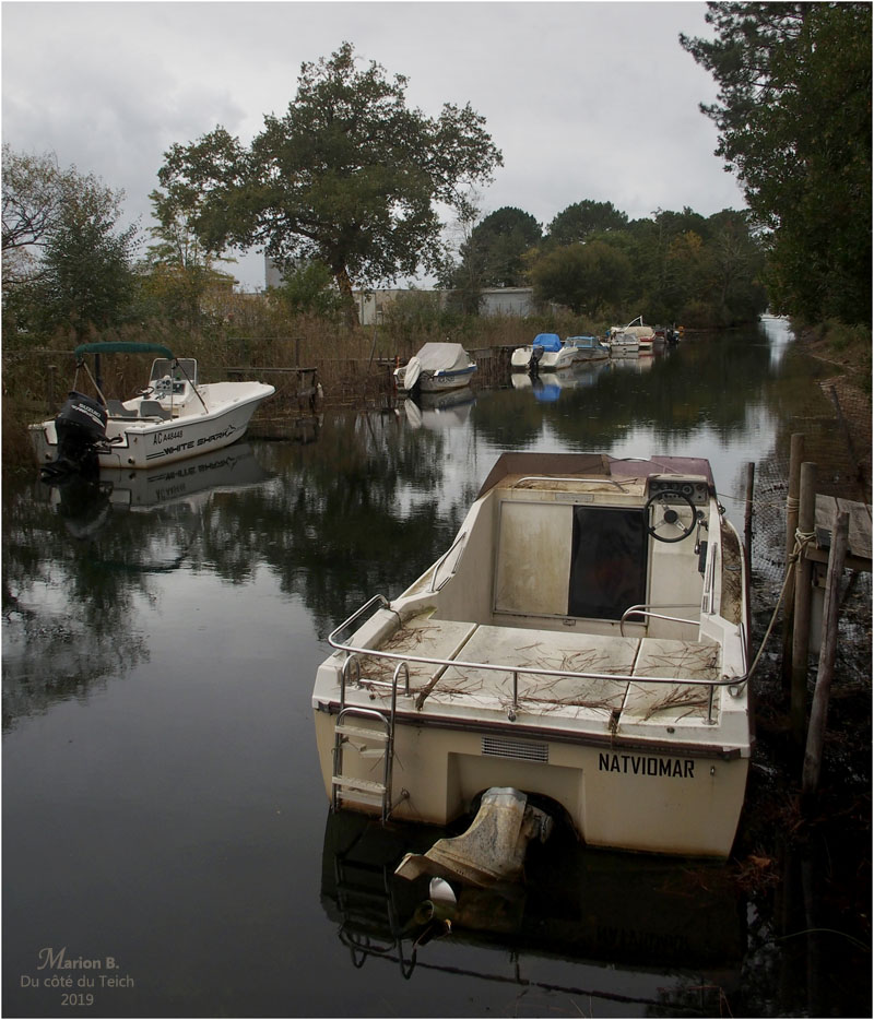 BLOG-PB023366-Cazaux