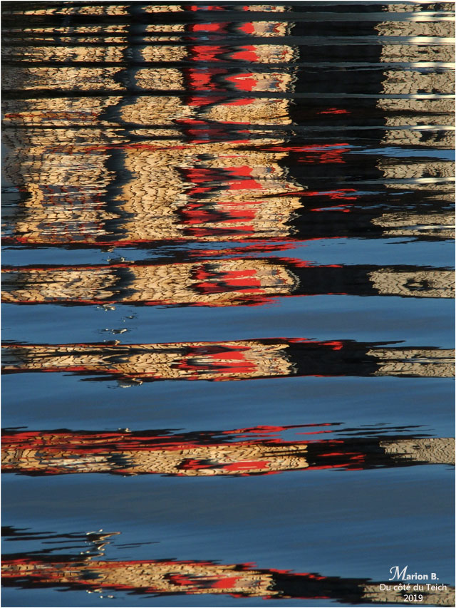 BLOG-PB103426-reflet