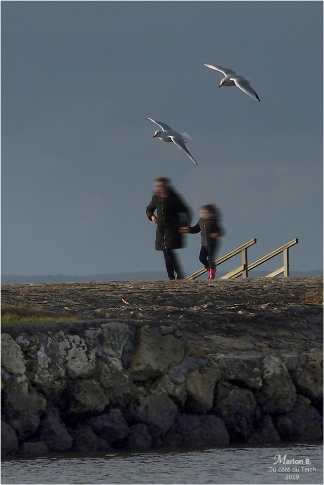 BLOG-PB133477-flou-promeneuses et 2 mouettes