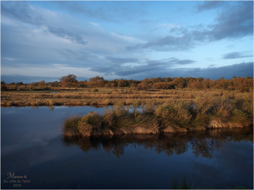 BLOG-PB153519-Graveyron automne 1