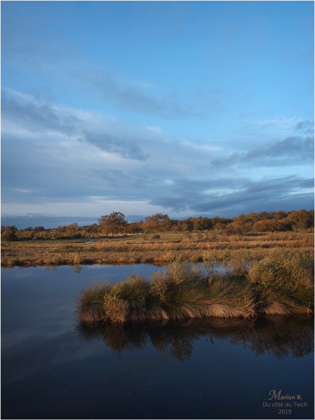 BLOG-PB153522-Graveyron automne