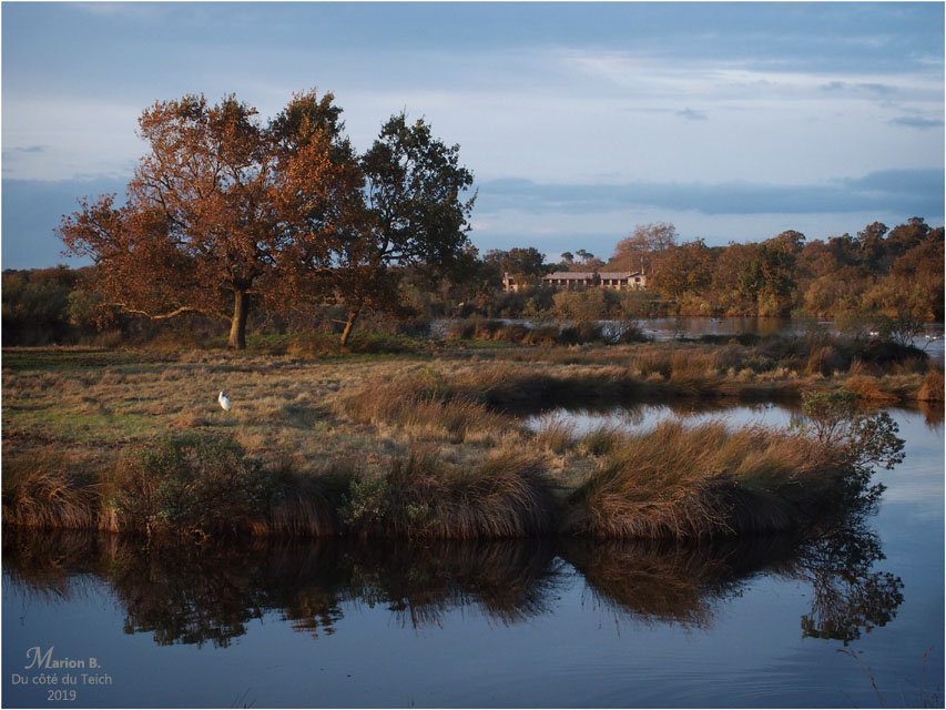 BLOG-PB153526-Graveyron automne