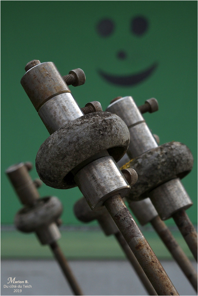 BLOG-PB183553-peseuse calibreuse et smiley vert