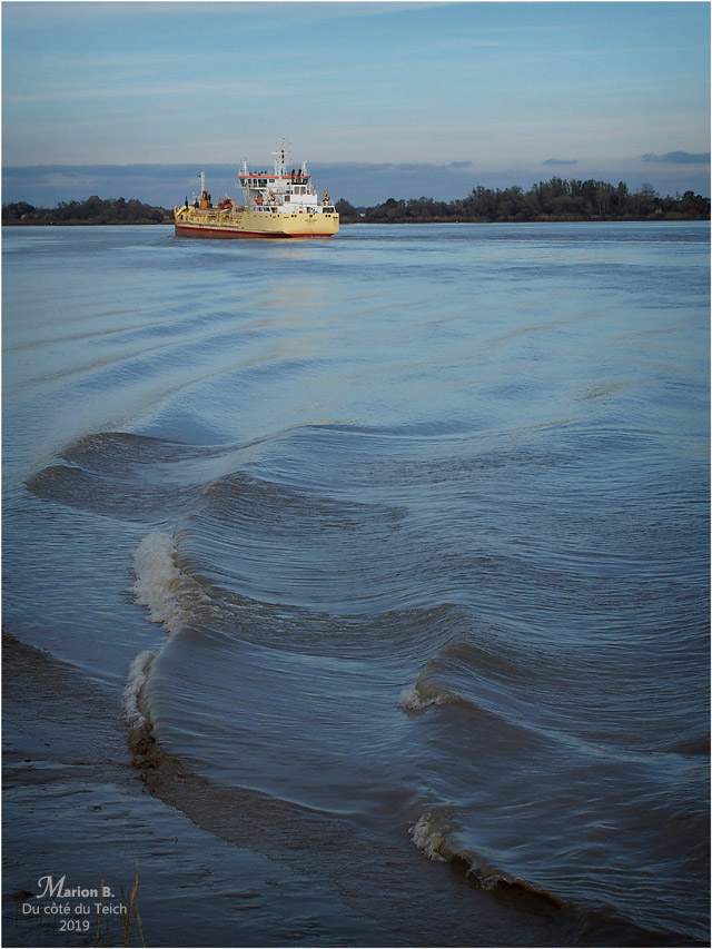 BLOG-PB193556-drague Anita Conti Garonne