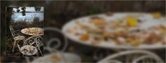 BLOG-PB193566-bannière Garonne port Lagrange Parempuyre BLOG-PB193566-bannière Garonne port Lagrange Parempuyre