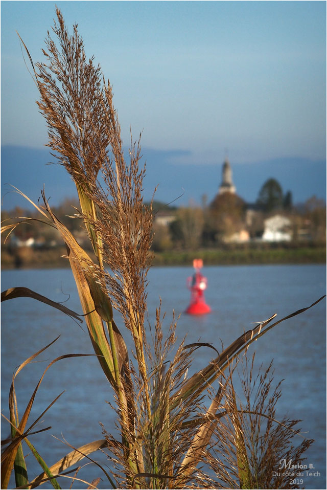 BLOG-PB193580-2-port Lagrange Parempuyre face St Louis de Montferrand