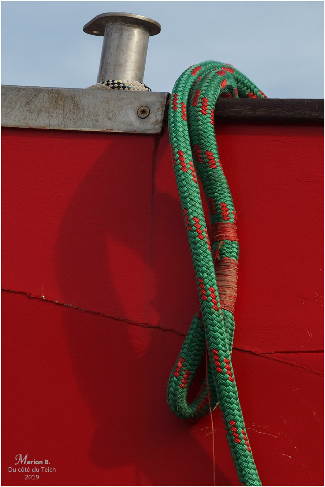 BLOG-PB203599-bac Didier Muller