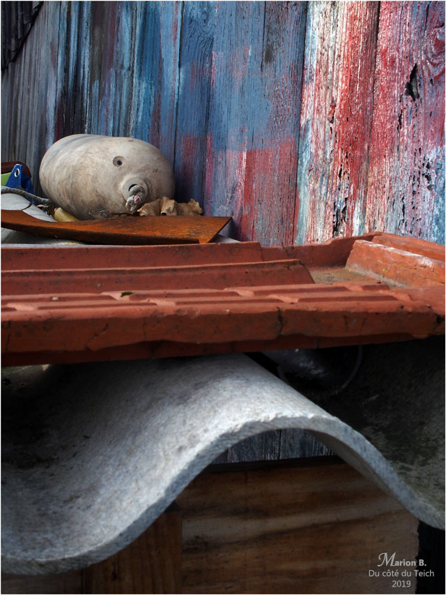 BLOG-PB203613-pare-battage cabane