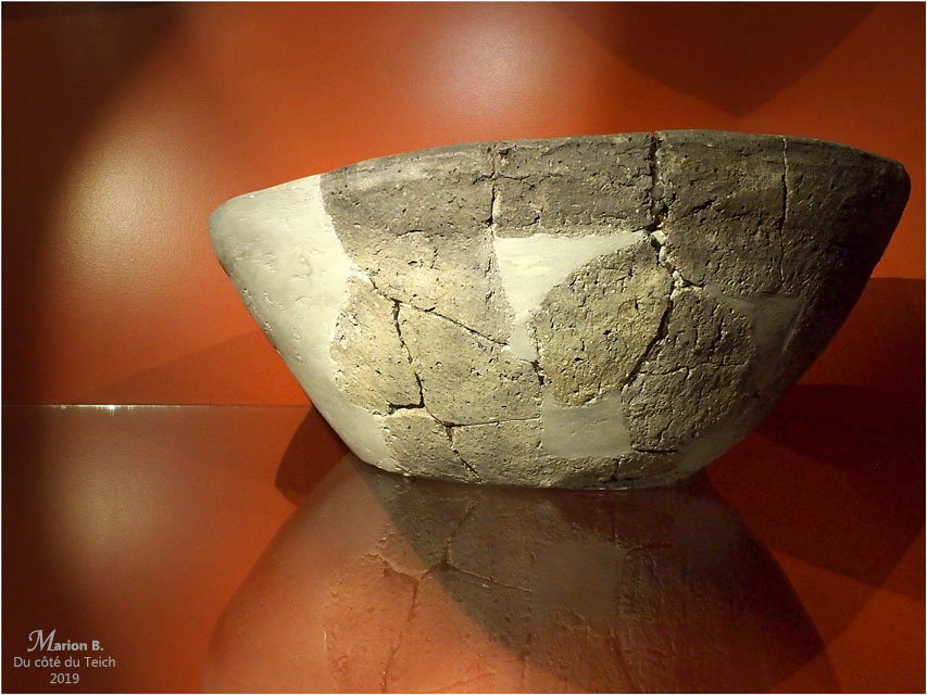 BLOG-PB213656-musée du lac Sanguinet