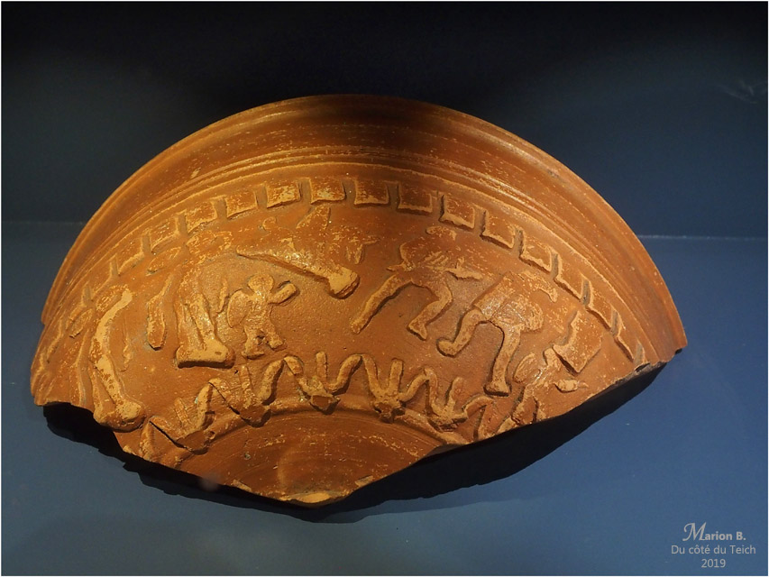 BLOG-PB213661-musée du lac Sanguinet