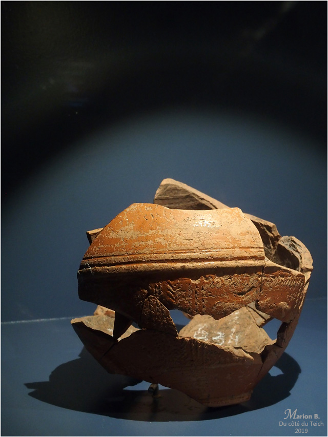 BLOG-PB213667-musée du lac Sanguinet