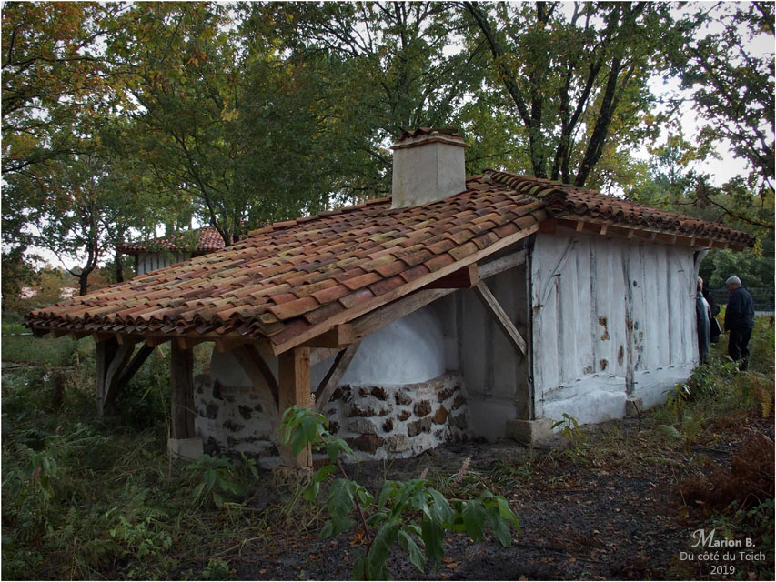 BLOG-PB213696-conservatoire Landes Gascogne Sanguinet BLOG-PB213696-conservatoire Landes Gascogne Sanguinet